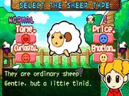 Sheep